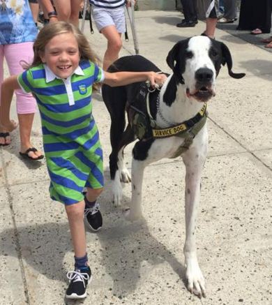 Great Dane “service dog” replaces little girl’s crutches
